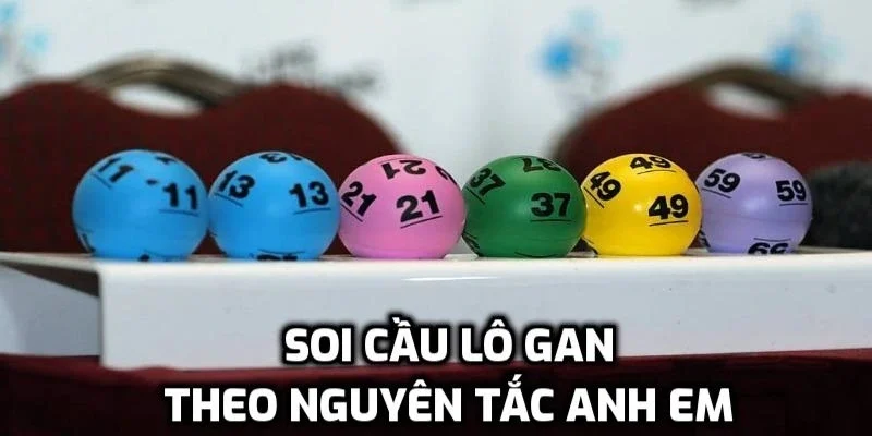 Tham khảo nguyên tắc anh em